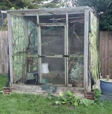 Bird aviary for sale  SEVENOAKS
