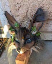 Fox wolf canine for sale  Lake Havasu City