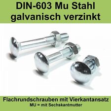 Din 603 schloßschrauben gebraucht kaufen  Bad Krozingen