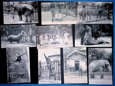 Lot cpa paris d'occasion  Lyon II