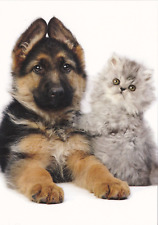 Usado, Dt. Schäferhund  Postcard  * German Shepherd  Puppy  &   Cat   POSTKARTE  # 4 comprar usado  Enviando para Brazil