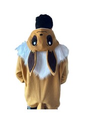 Eeve hoodie cosplay for sale  Davenport