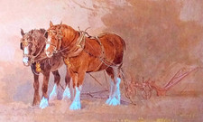 Heavy horses plough. for sale  NELSON