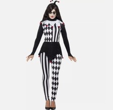 Adult lady harlequin for sale  SOLIHULL