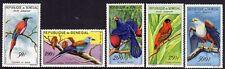 Birds senegal 1960 for sale  DAVENTRY
