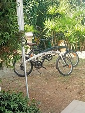Bici pieghevoli misura usato  Villa Celiera