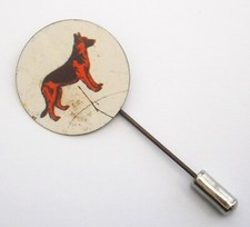 B112 alsatian dog for sale  SWANSEA