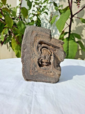 Roche fossilisée pierre d'occasion  Château-la-Vallière
