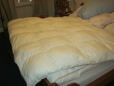 Daunensteppbett daune qualitä gebraucht kaufen  Rosenfeld
