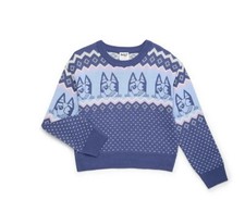 Bluey sweater girls for sale  Huntsville