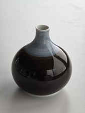 Arzberg porzellan vase gebraucht kaufen Arzberg porzellan vase gebraucht kaufen  Flossenbürg