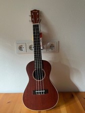 Stagg uc80 konzert gebraucht kaufen  Weißenstadt