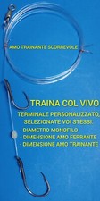 Terminale traina col usato  Torricella