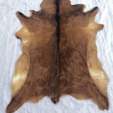 Red deer hide for sale  Guasti