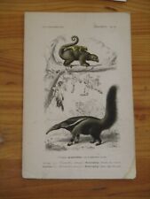 Gravure originale atlas d'occasion  Saint-Médard-en-Jalles