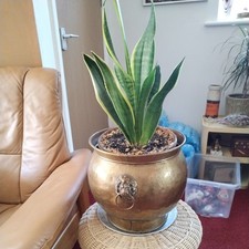 Vintage brass jardiniere for sale  WEYMOUTH