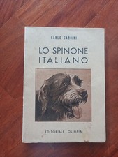 Cani caccia spinone usato  Roma