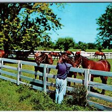 1955 near lexington for sale  Evansdale