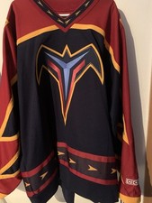 Atlanta thrashers nhl gebraucht kaufen  Heinersreuth