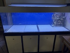 Meerwasseraquaruim l200x b70x gebraucht kaufen  Hünxe