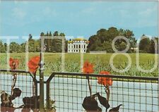 Fontanelle villa co.marcello usato Fontanelle villa co.marcello usato  Polcenigo