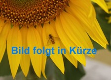 Bilderrahmen holz glasscheibe gebraucht kaufen  Bad Freienwalde (Oder)