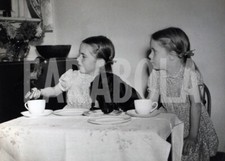 Vintage animali regno usato  Roma