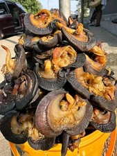 Oven dried snails for sale  HORNCHURCH