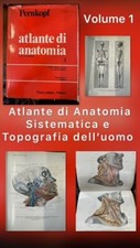 Pernkopf atlante anatomia usato  Padova