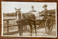 Pony trap jaunting for sale  DARLINGTON