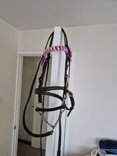 Leather inhand pony for sale  BIDEFORD