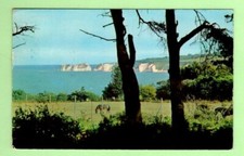 091204 postcard studland for sale  FROME