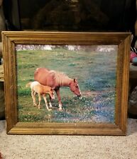 Mare foil grazing for sale  Hayward