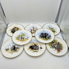 David shepherd wedgewood for sale  LIVERPOOL