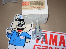 Yamaha 125 250 gebraucht kaufen  Wadern