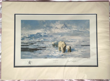 Ice wilderness mounted for sale  MARKET RASEN