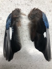 Jay wings fly for sale  BALLYMENA