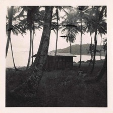 Old photo guiana d'occasion  Expédié en Belgium