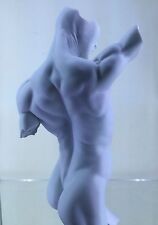 Erotic male torso for sale  SPALDING