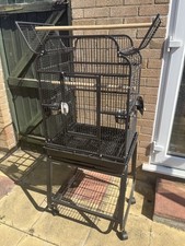 Rainforest peru bird for sale  PETERBOROUGH