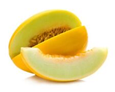 Graines melon canari d'occasion  Neuilly-sur-Marne