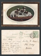 1910 KEVII South Cave Thimble Yorkshire Cancel. Cartão postal de humor para cachorros comprar usado  Enviando para Brazil