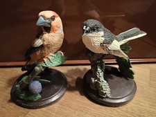 Sammelfiguren schöne vogelwel gebraucht kaufen  Verden
