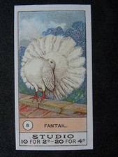 Fantail fowls pigeons for sale  UK
