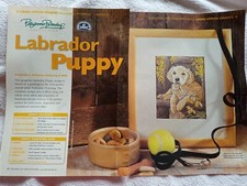 Labrador puppy cross for sale  UK