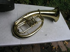 tenorhorn gigbag gebraucht kaufen  Grub a.Forst