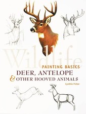Wildlife painting basics for sale  North Smithfield