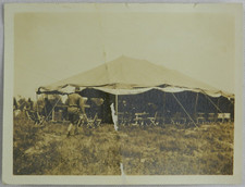 Men walking around for sale  Boiling Springs