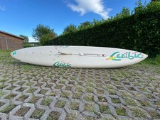 Surfbrett segel marke gebraucht kaufen  Friedrichshafen