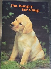 Argus posters. vintage. for sale  York